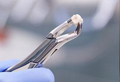 tooth extraction dental tool